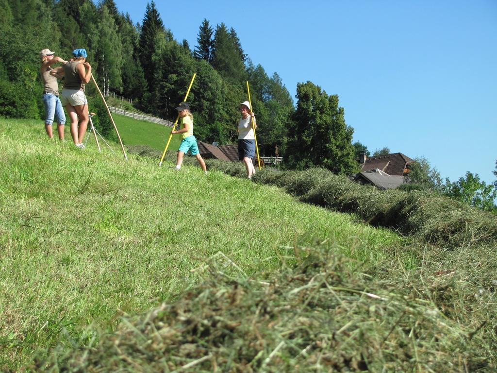 Lercherhof Appartamento