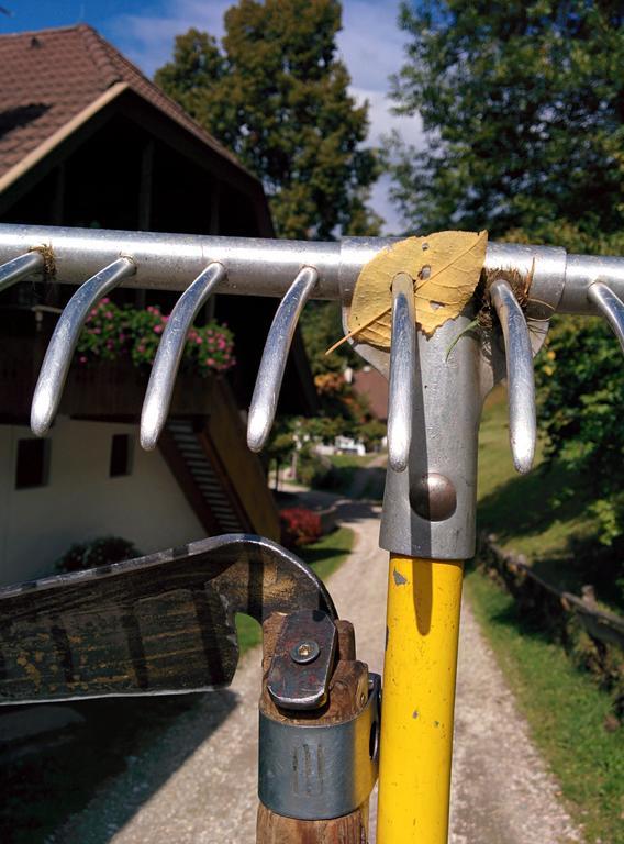 Lercherhof Appartamento