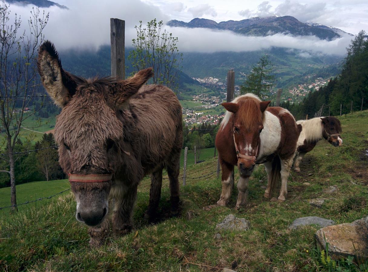 Appartamento Lercherhof
